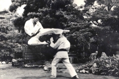 flying