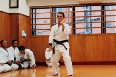 shisochin