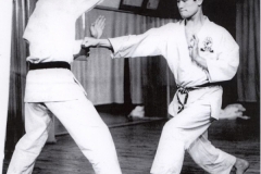 yamamoto_shujitasaki1