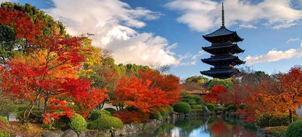 Japan Scape 2